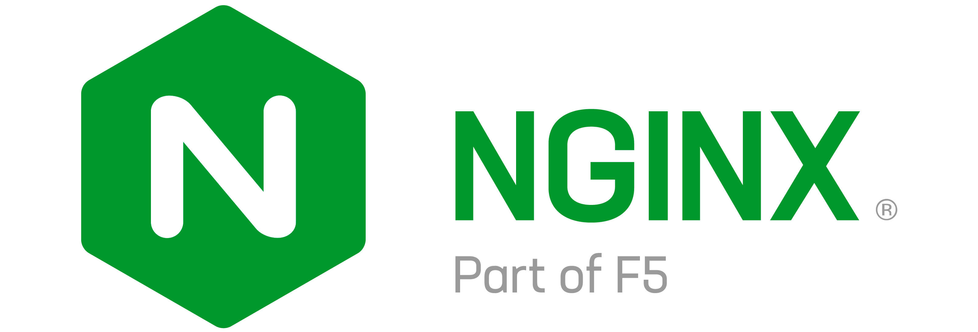 NGINX Web Hosting