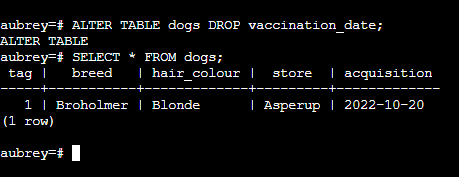 image5.png